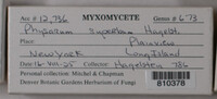 Image Associated With the Occurence
